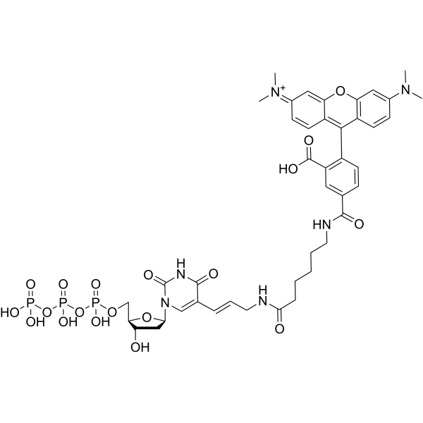 Tetramethylrhodamine-dUTP (TAMRA-dUTP)